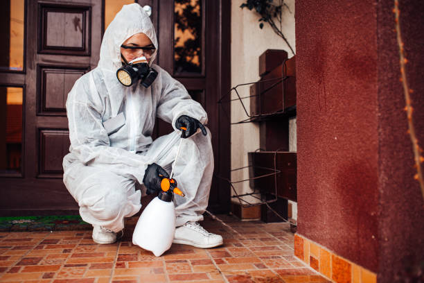 Reliable Wasp Removal contractor in Harrisburg, OR by Show Me Pest Control